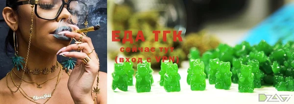 индика Абинск