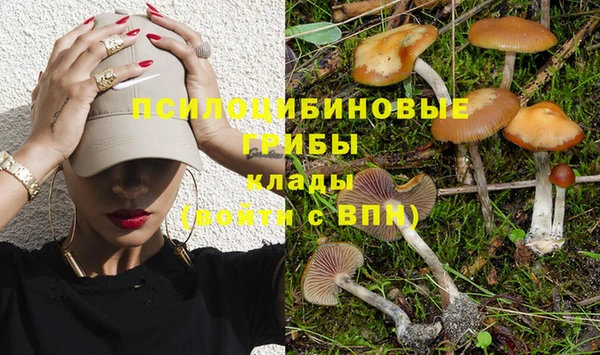 индика Абинск