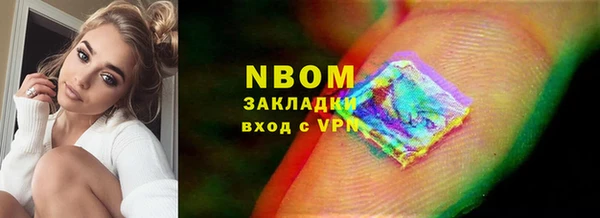индика Абинск