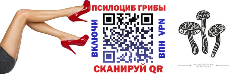 Галлюциногенные грибы Psilocybine cubensis закладка блэк спрут онион Солигалич